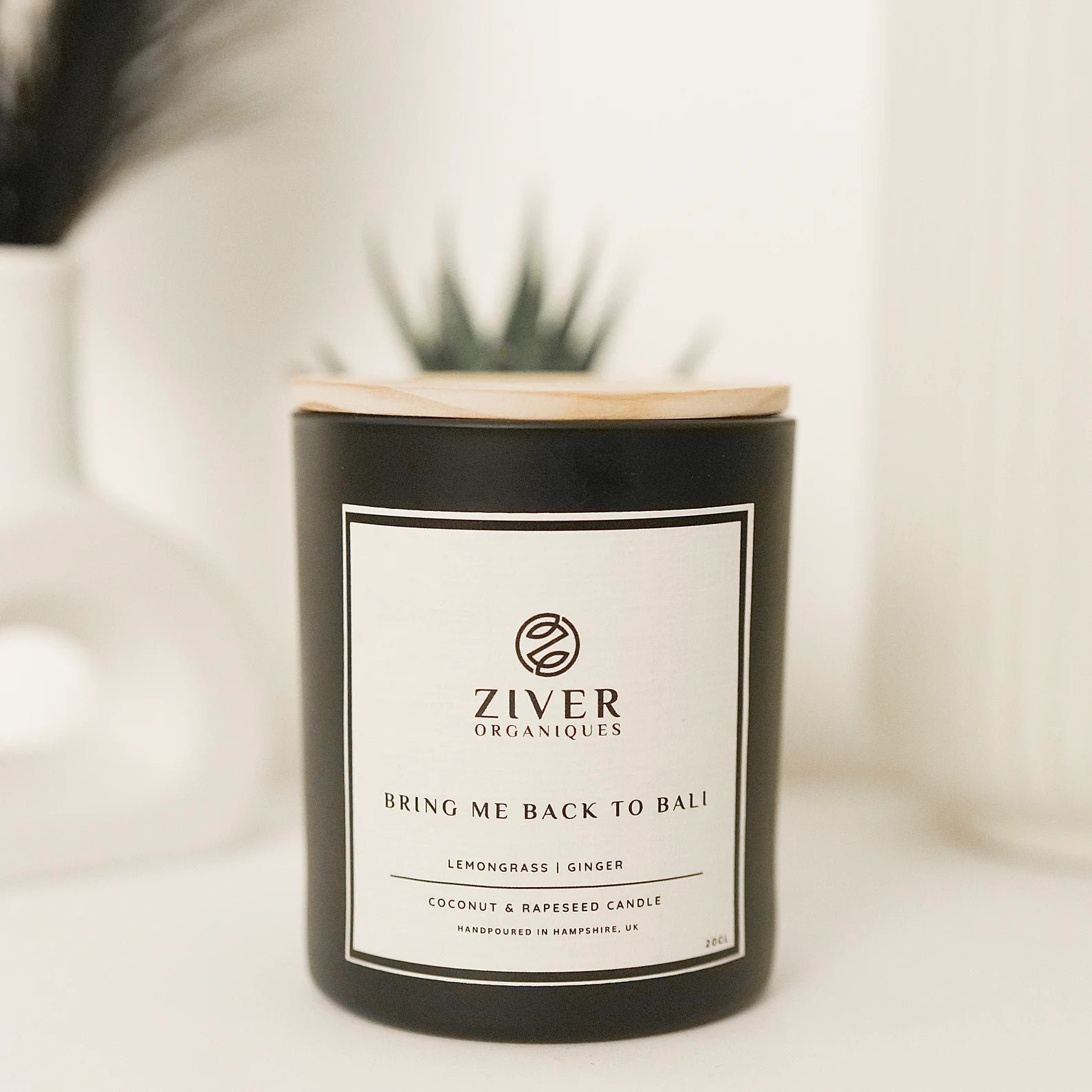 Bring Me Back to Bali | Lemongrass and Ginger Scented Candle